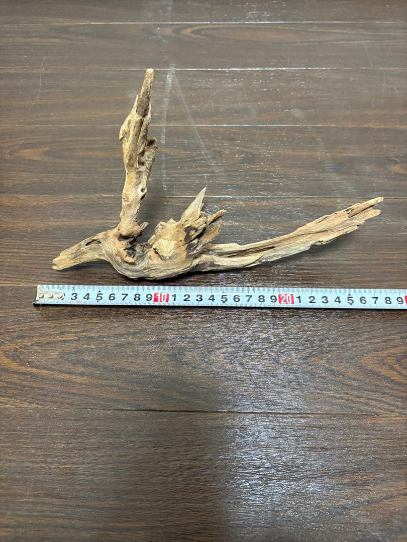 ADA ホーンウッド　7本まとめ売り