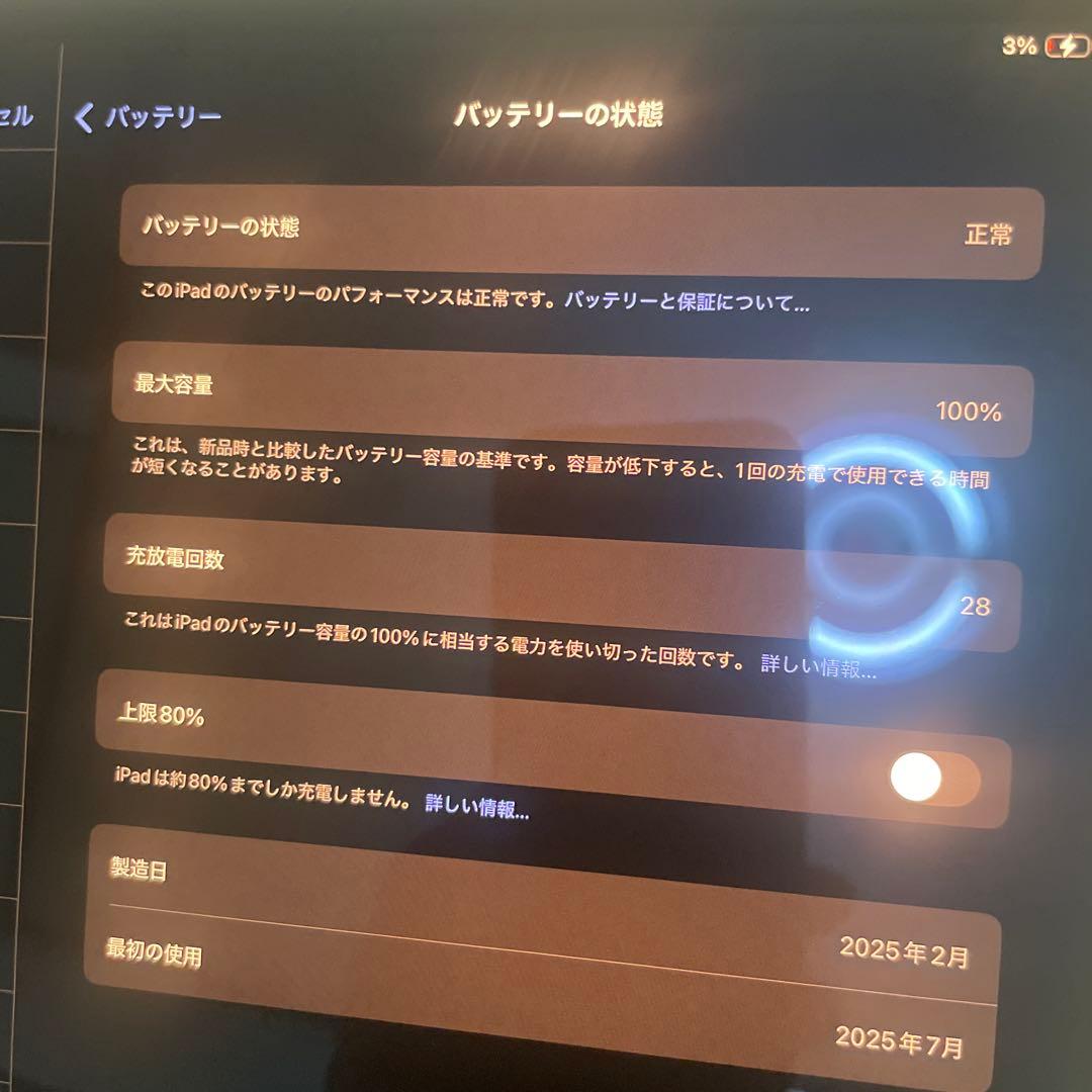 ipad pro 13インチm4 256GB 周辺アクセサリー付き