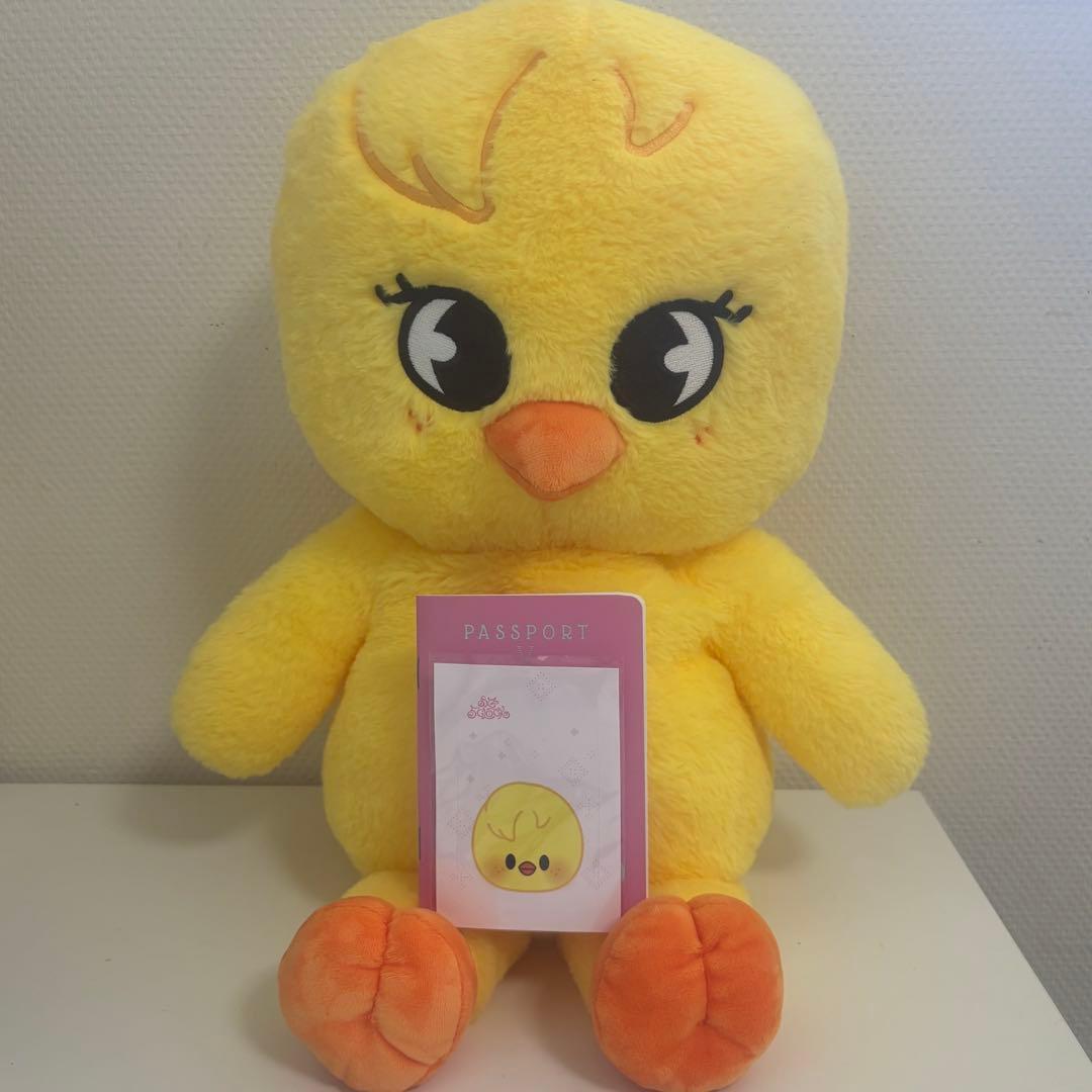 スキズ　ポガリ　テディベア