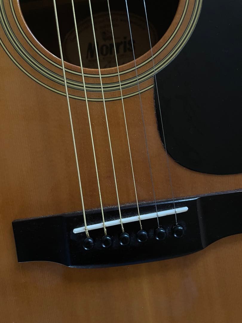 ☆モーリス　アコースティックギター　W-18　ソフトケース付き　Morris