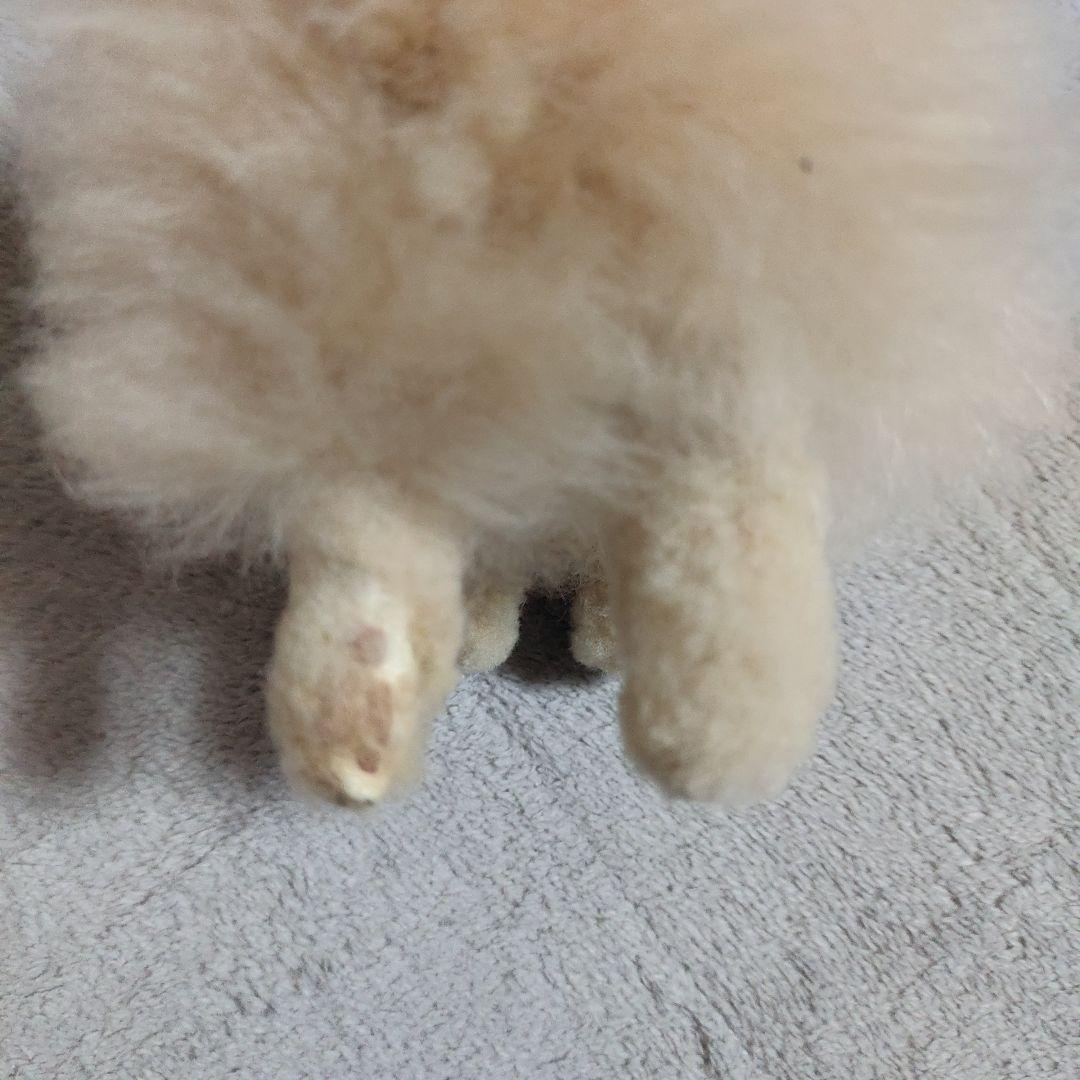 アルパカ　ぬいぐるみ　エルヴァン デンマーク