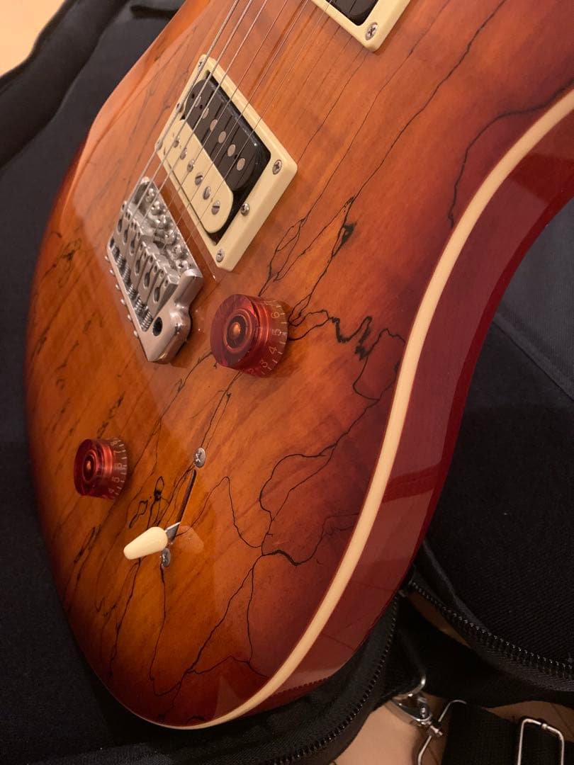 ギター PRS SE Custom 24 Spalted Maple