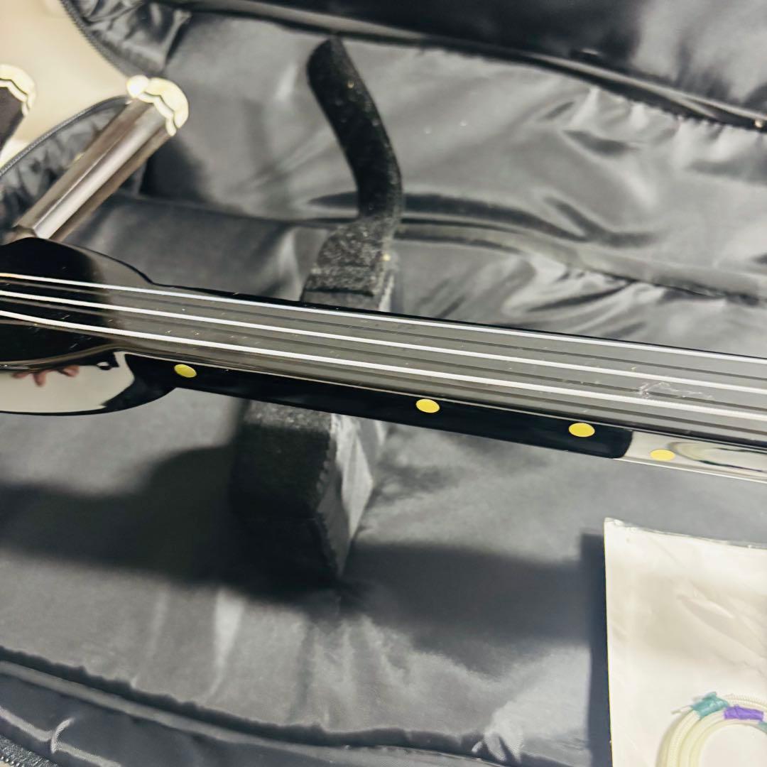 【美品】沖縄 三線 本蛇皮 三味線 ケース付き 初心者 入門