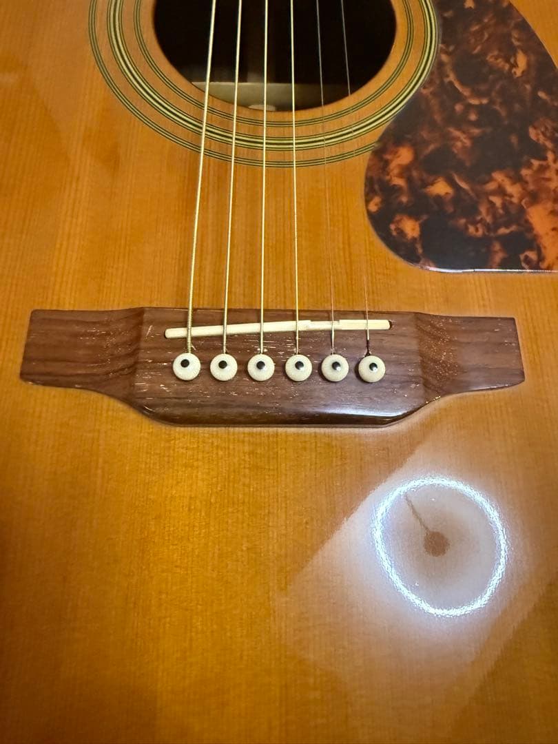 【美品】Epiphone Masterbilt DR-500RNS Hケース付