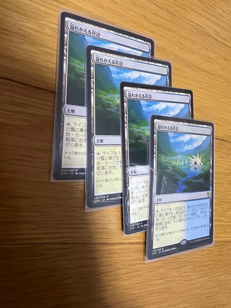 溢れかえる岸辺 4枚セット 日本語