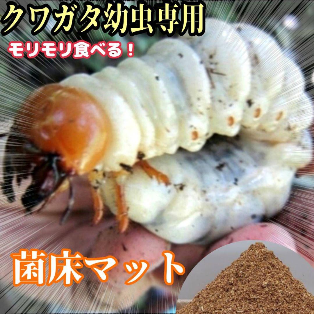 菌床粉砕クワガタマット【30L】ボトルやカップに詰めるだけ！菌糸瓶より経済的！