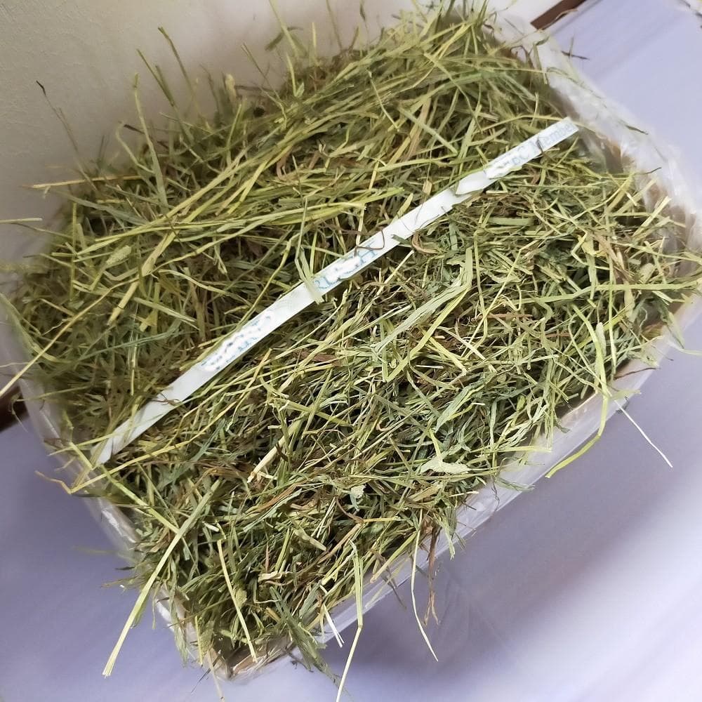 【家計応援価格】US産 チモシー 60kg ２番刈 ソフトSプレミアム