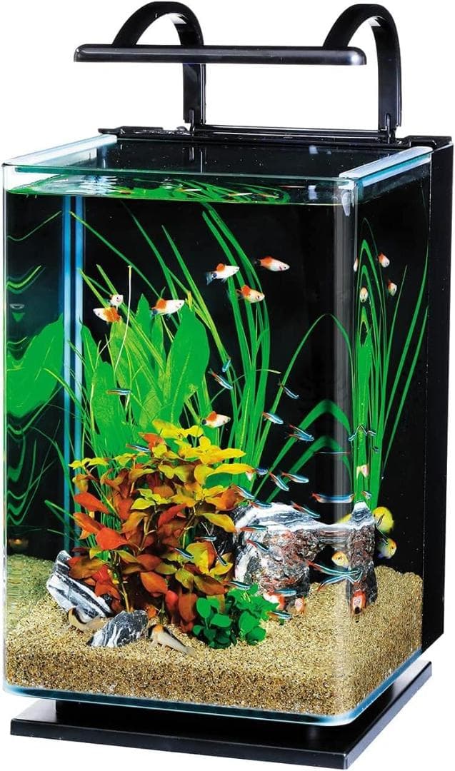 テトラ (Tetra) ガラス リビングキューブ 20 (容量 約20L)