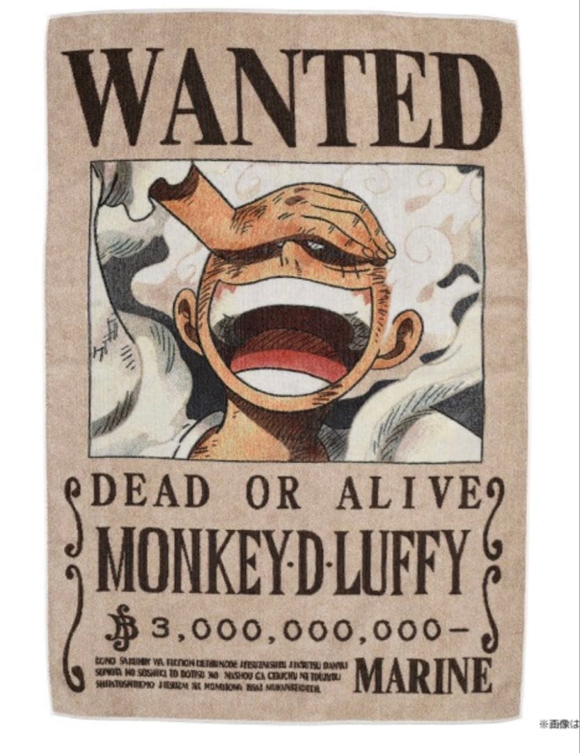 【ワンピース】五彩織り ビッグタオル ＜手配書＞