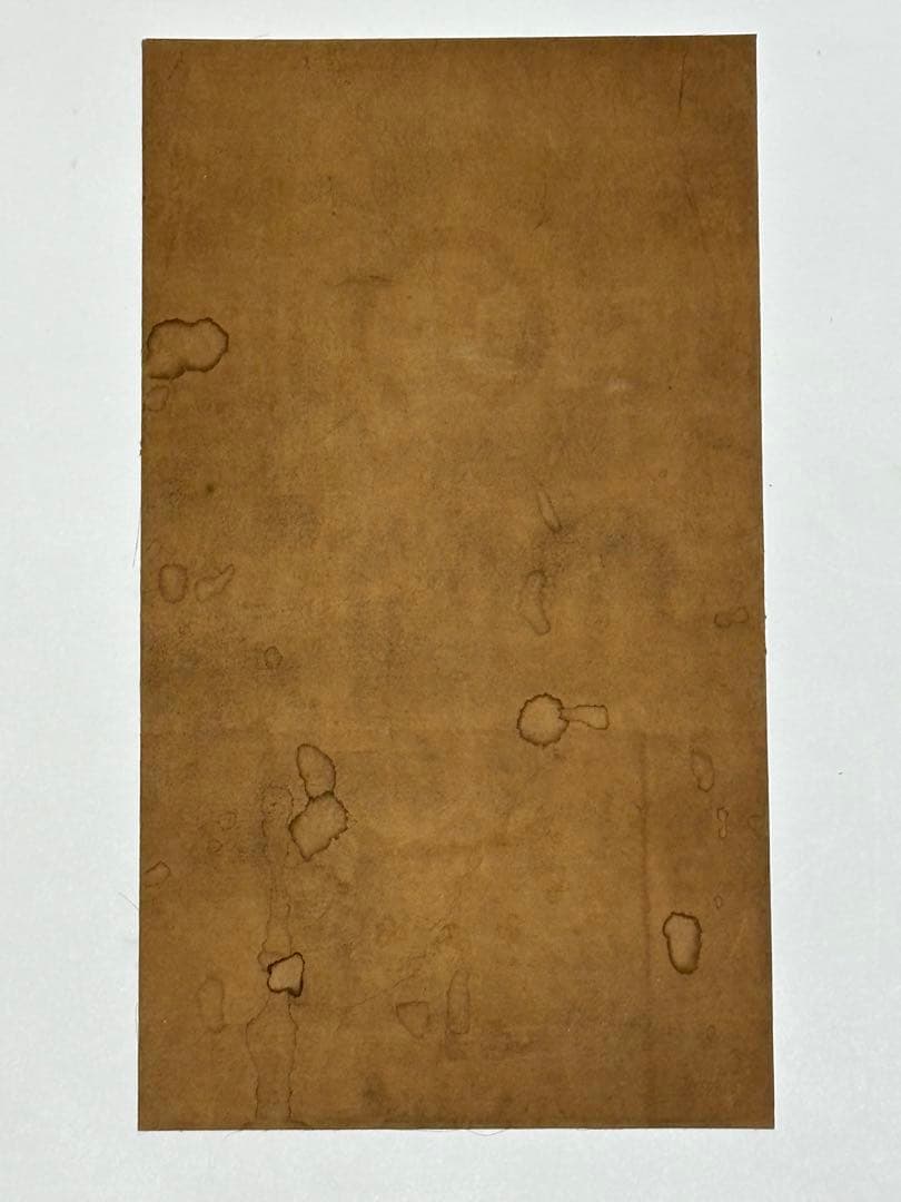 「極彩色木版画 阿弥陀如来像 方便法身尊像」１枚|仏教美術 木版画 浄土真宗親鸞