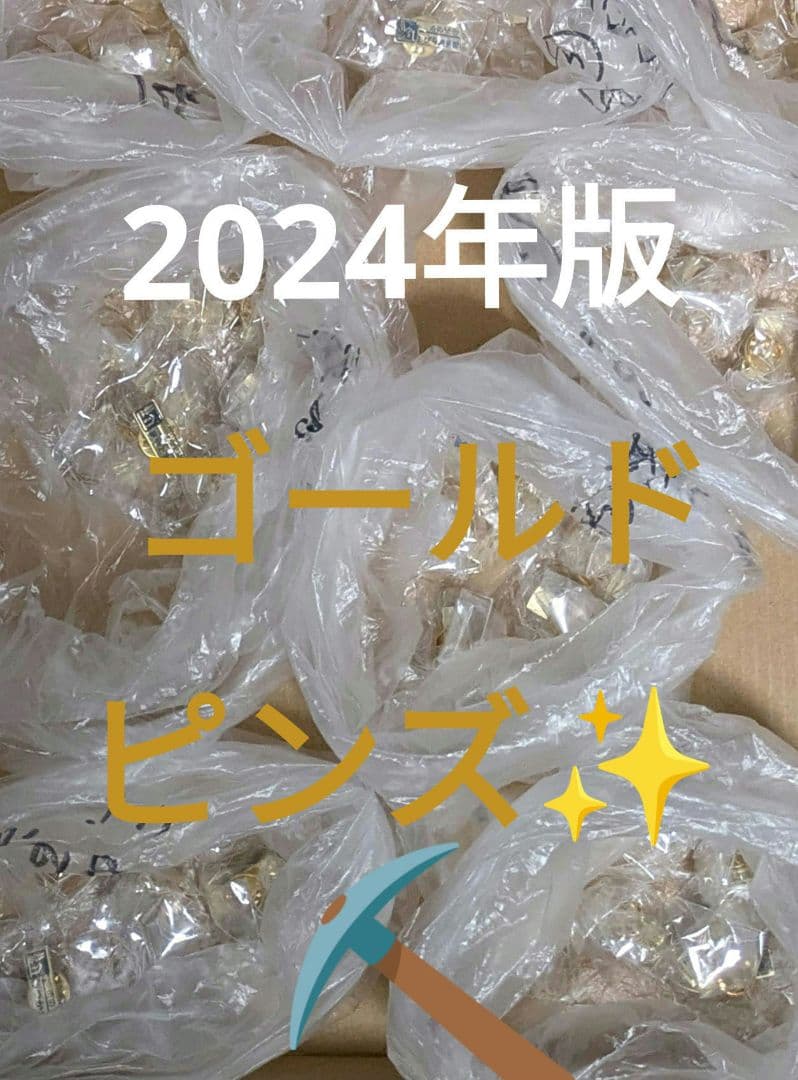 北海道道の駅ピンズゴールドピンズ2024年版 99種類早い物勝ち✨