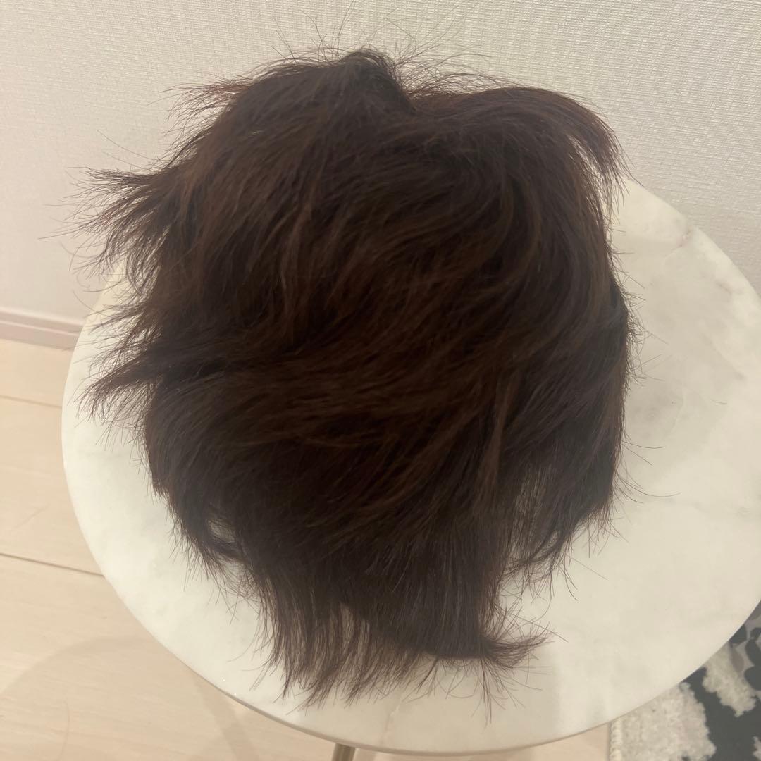 新品未使用　人毛100% ショートウィッグ