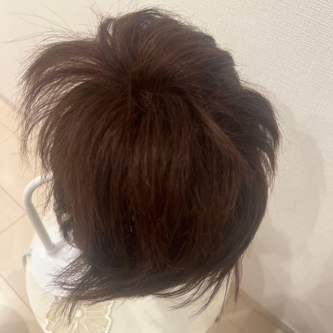 新品未使用　人毛100% ショートウィッグ