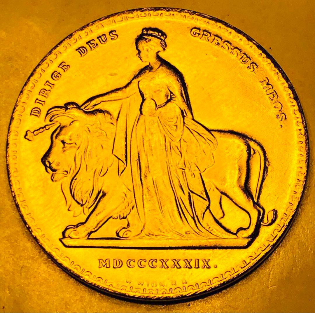 1889年　ヴィクトリア女王　ウナ＆ライオン 5ポンド　イギリス 骨董品