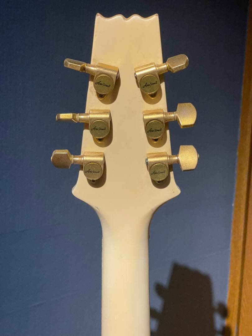 Aria Pro II TA-55　セミアコ？フルアコ？　希少動作品【最終特価】