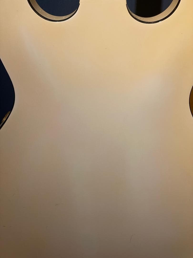 Aria Pro II TA-55　セミアコ？フルアコ？　希少動作品【最終特価】