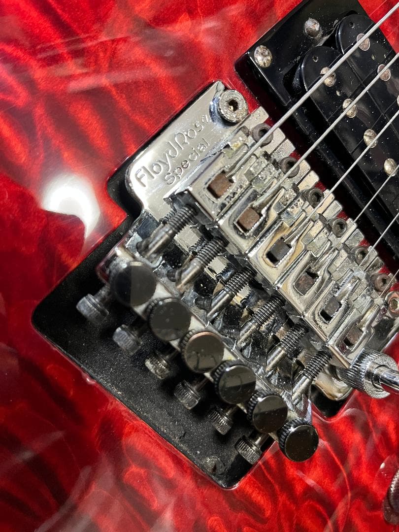 greco wild scamper グレコ　Floyd Rose