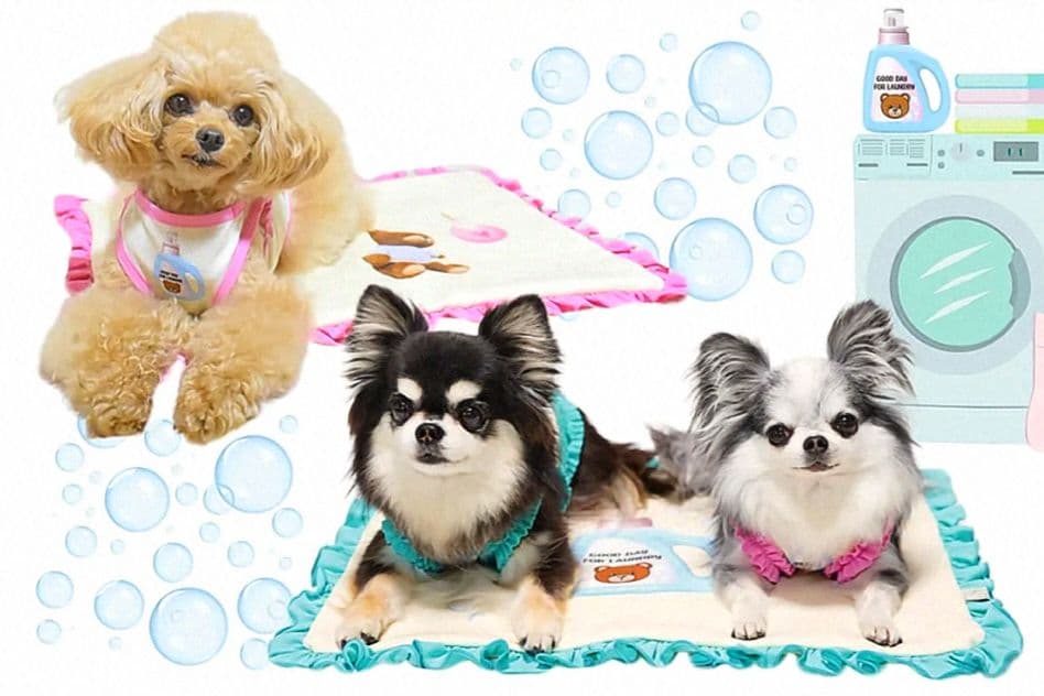 C Laundry Bearフリルタンク＆マット セット　circusサーカス