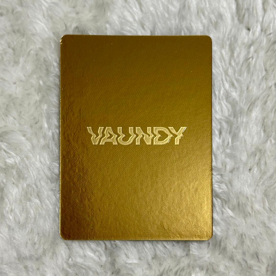 Vaundy トレーディングカード トレカ シークレット little punk