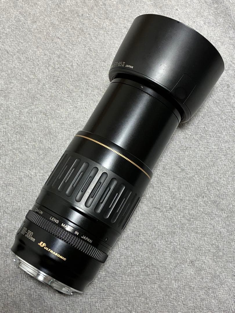 ⭐️美品⭐️キャノンCanon EF 100-300mm 4.5-5.6 USM
