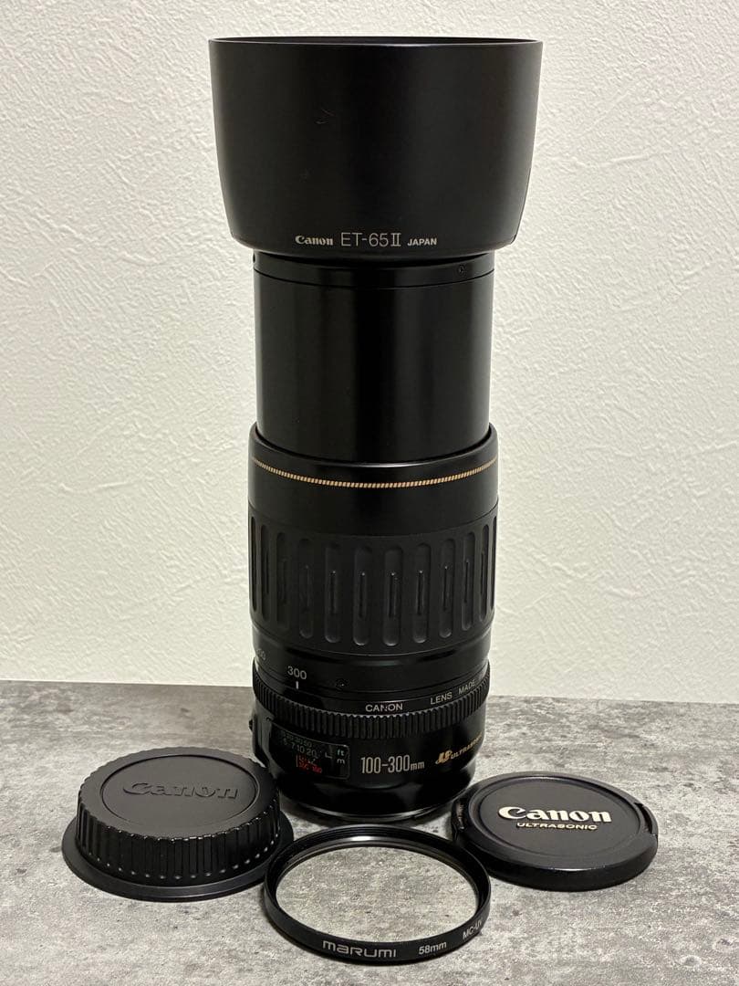 ⭐️美品⭐️キャノンCanon EF 100-300mm 4.5-5.6 USM