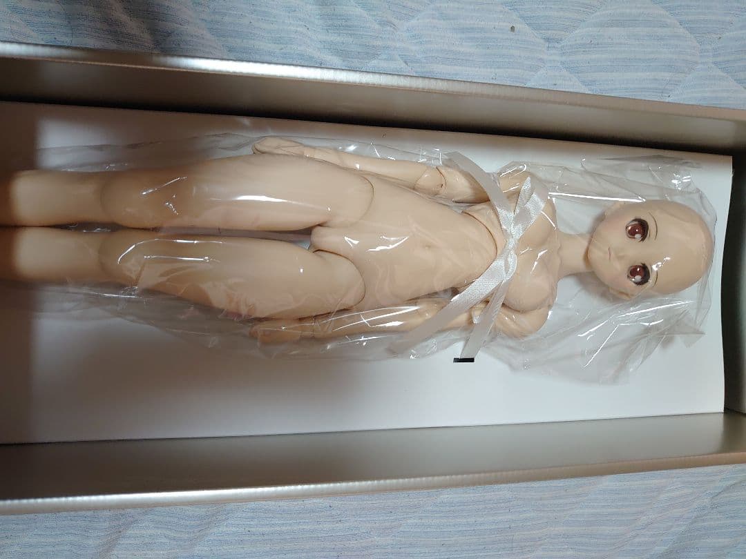 博麗霊夢　ドルフィードリームシスター