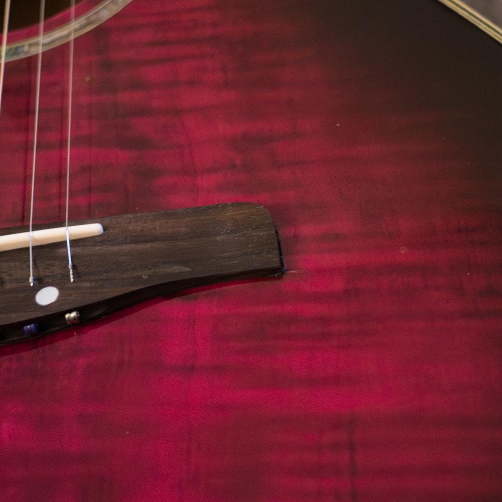 Stafford SEP-500 2004年 美品エレアコ