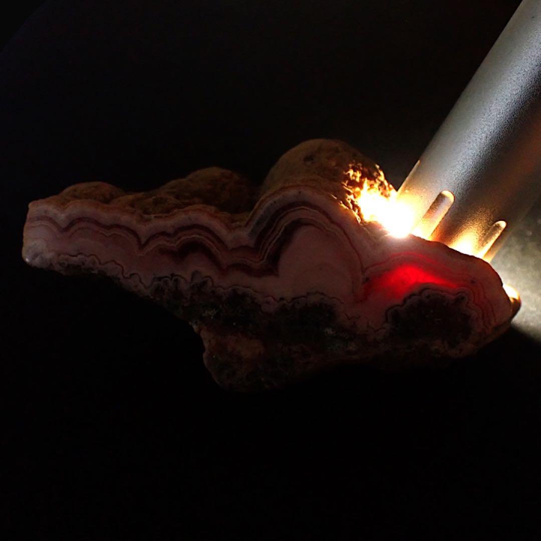 【ペルー産】インカローズ