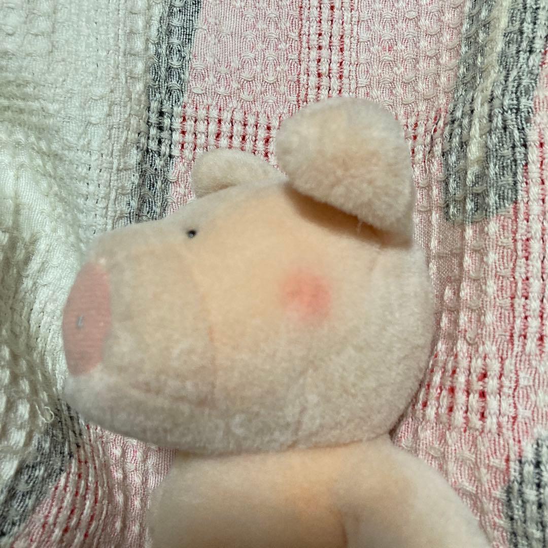 サンアロー　kipper ブタ　ぬいぐるみ　中古品