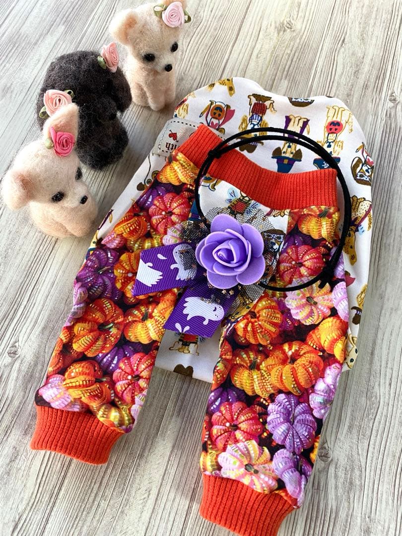 犬服  ラグラン(Ｓ)   ꒡̈⃝Lily꒡̈⃝ハンドメイド   ☻HELLOWEEN☻