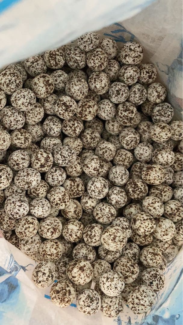 20kg業者様愛され高品質ろ材 納豆菌多孔質パワーボール20kg即時発送送料込み