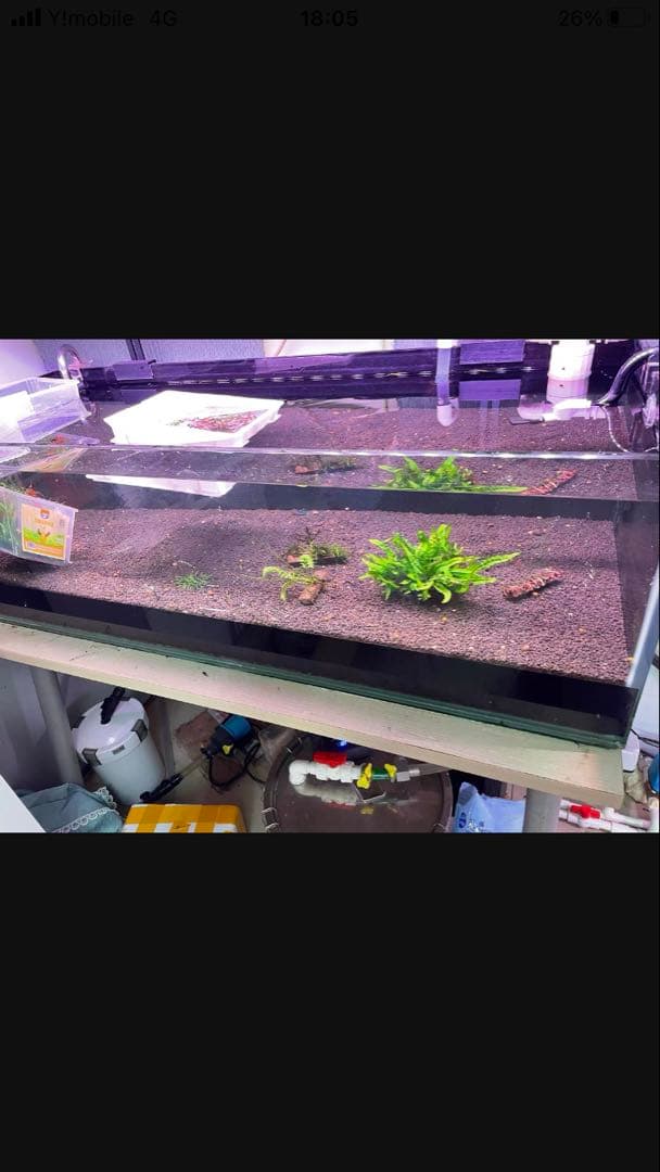 20kg業者様愛され高品質ろ材 納豆菌多孔質パワーボール20kg即時発送送料込み