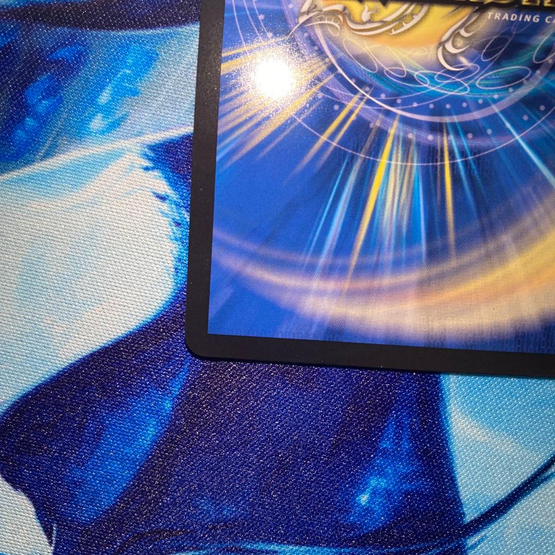 旗*野様 アーテルゴルギーニ