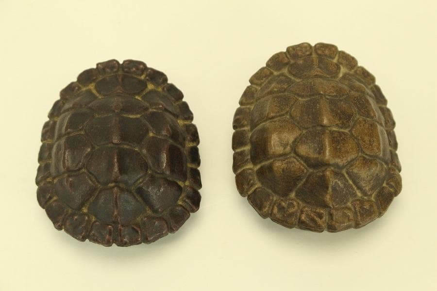 中国美術 紫泥 刻文字 亀甲羅 一対(HA532)