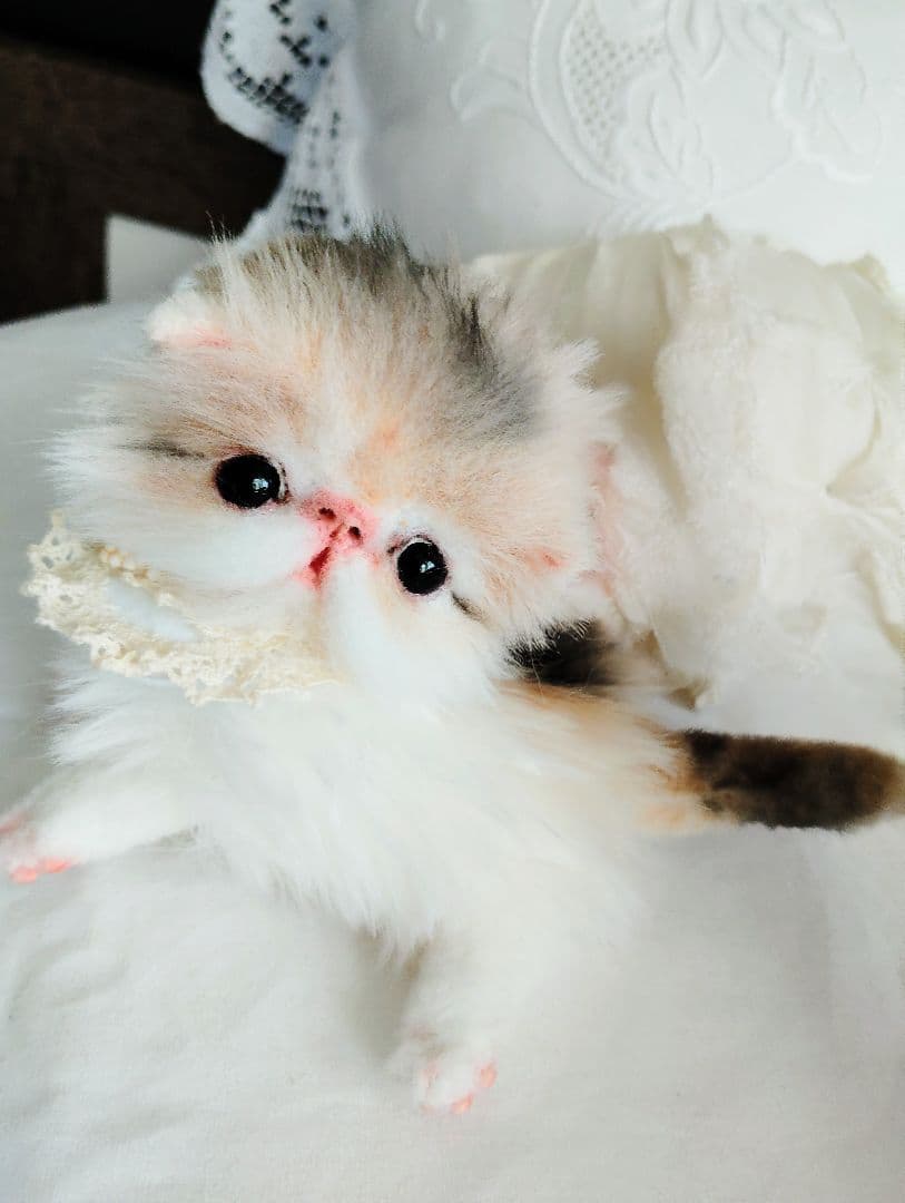 ママ募集❤くりくりオメメ♡ちっちゃな子猫ちゃん♡アートドール♡ぬいぐるみ♡