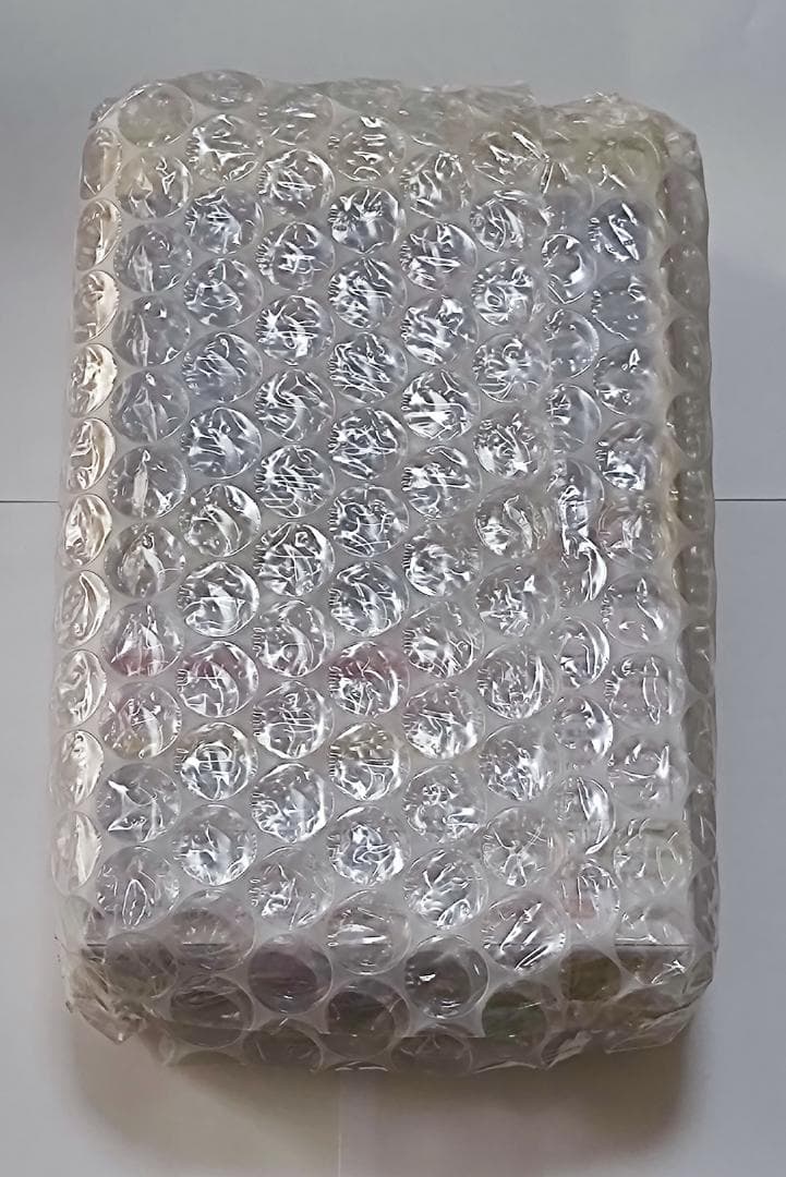 【新品未開封・W限定特典付】figma がんばリーリエ (保護材/保護紙付)