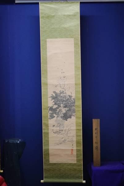 真作/山内多門/江村群鳥/桐共箱付/布袋屋掛軸HC-439