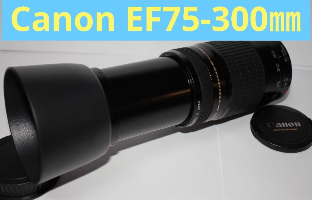 人気の300mm☆超望遠レンズ☆CANON EF 75-300mm F4-5.6