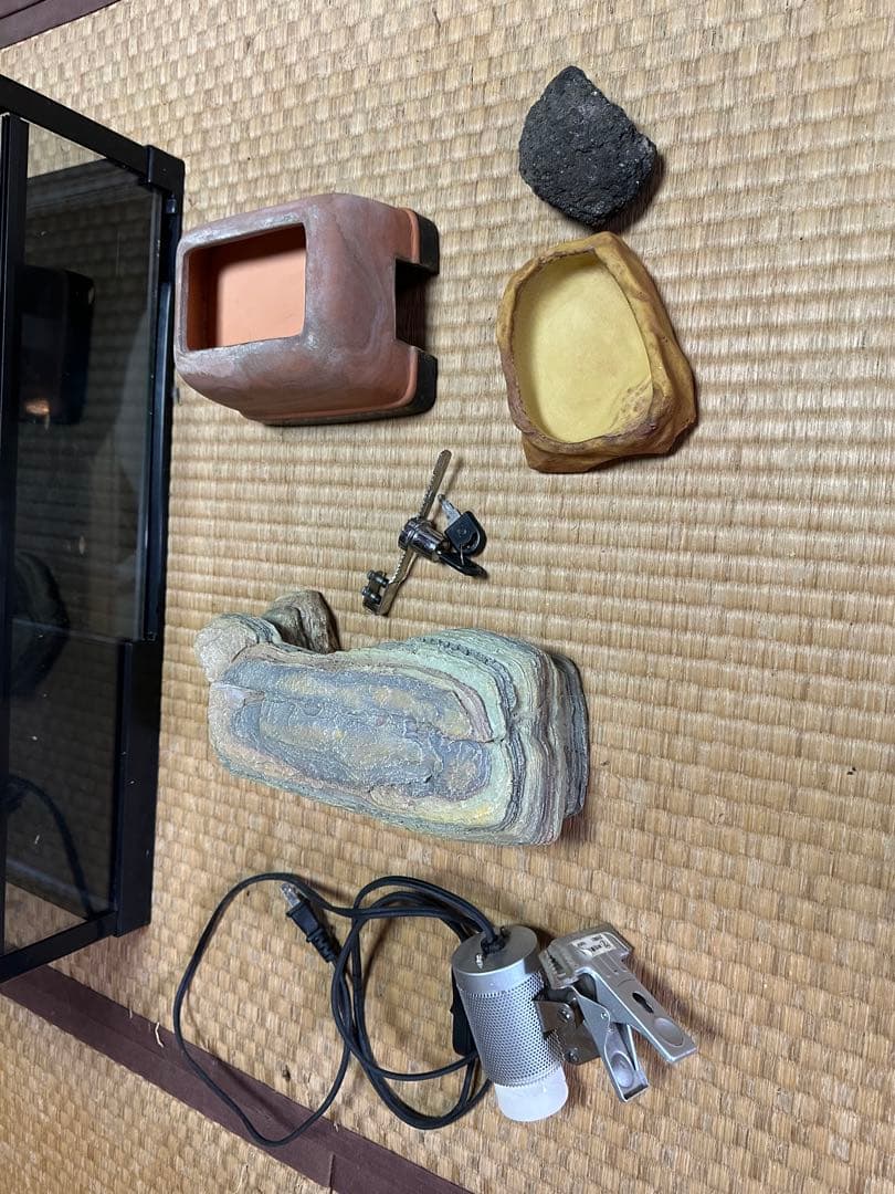 みどり商会 ケースバイケース レオパセット 発送不可