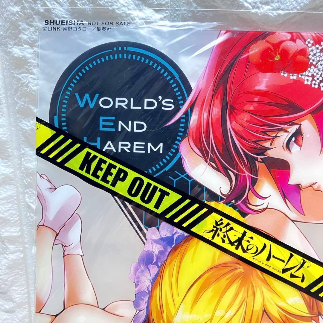 終末のハーレム 特製クリアカラー 下敷き World's End Harem⭐︎