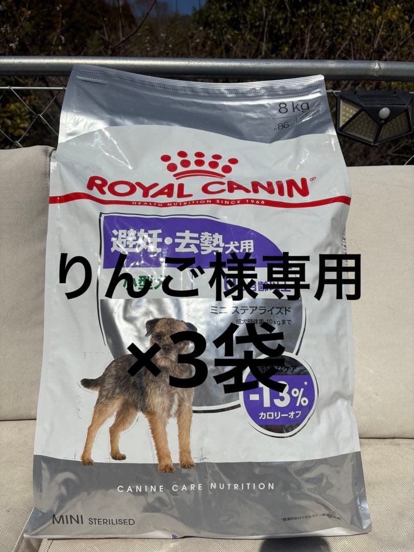 ロイヤルカナン ミニステアライズド 小型犬 10ヵ月齢以上 8kg×3袋