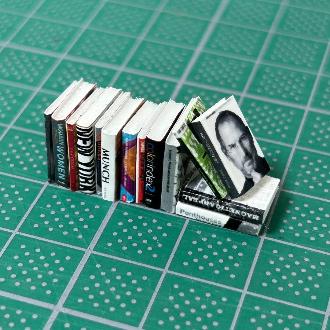 【300個】ランダム、模型用添景【本/雑誌】 1:30模型　建築模型