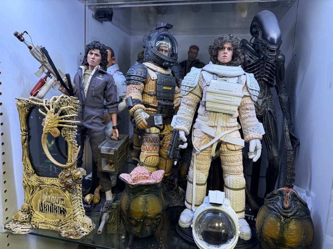 激レア エイリアン リプリー 1/6フィギュアヘッド (ドールヘアー版)