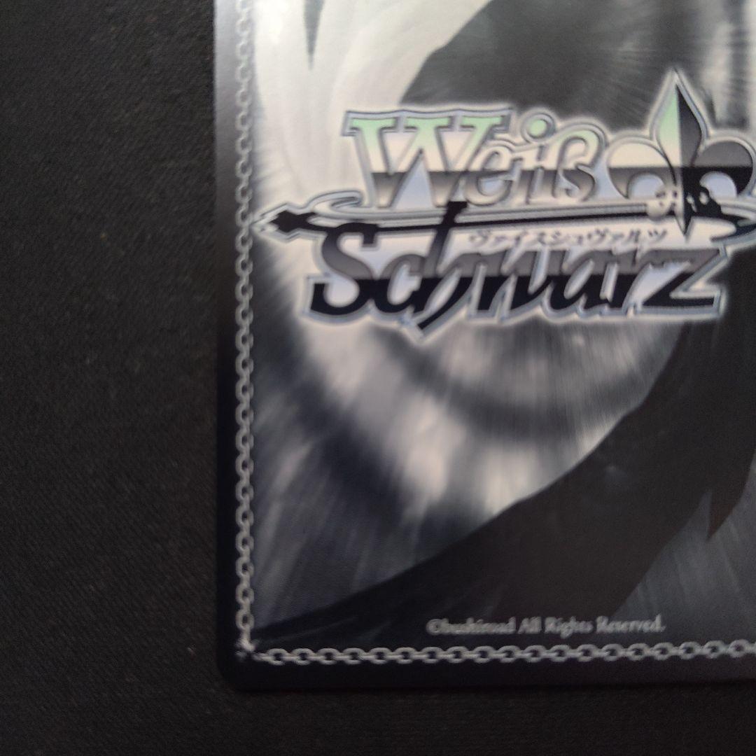 ヴァイスシュヴァルツ 信濃 SP