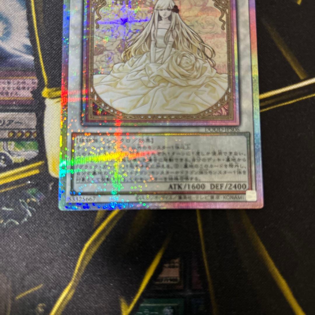 遊戯王【ガーデン・ローズ・メイデン】プリシク絵違い◆メルカリ便発送◆