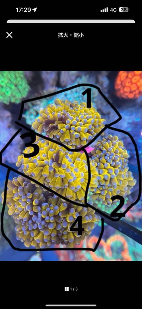 こめ出品ページ