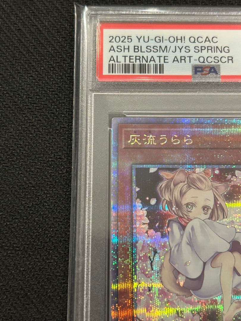 遊戯王 灰流うらら　絵違い　25th クオシクpsa10 アーコレ