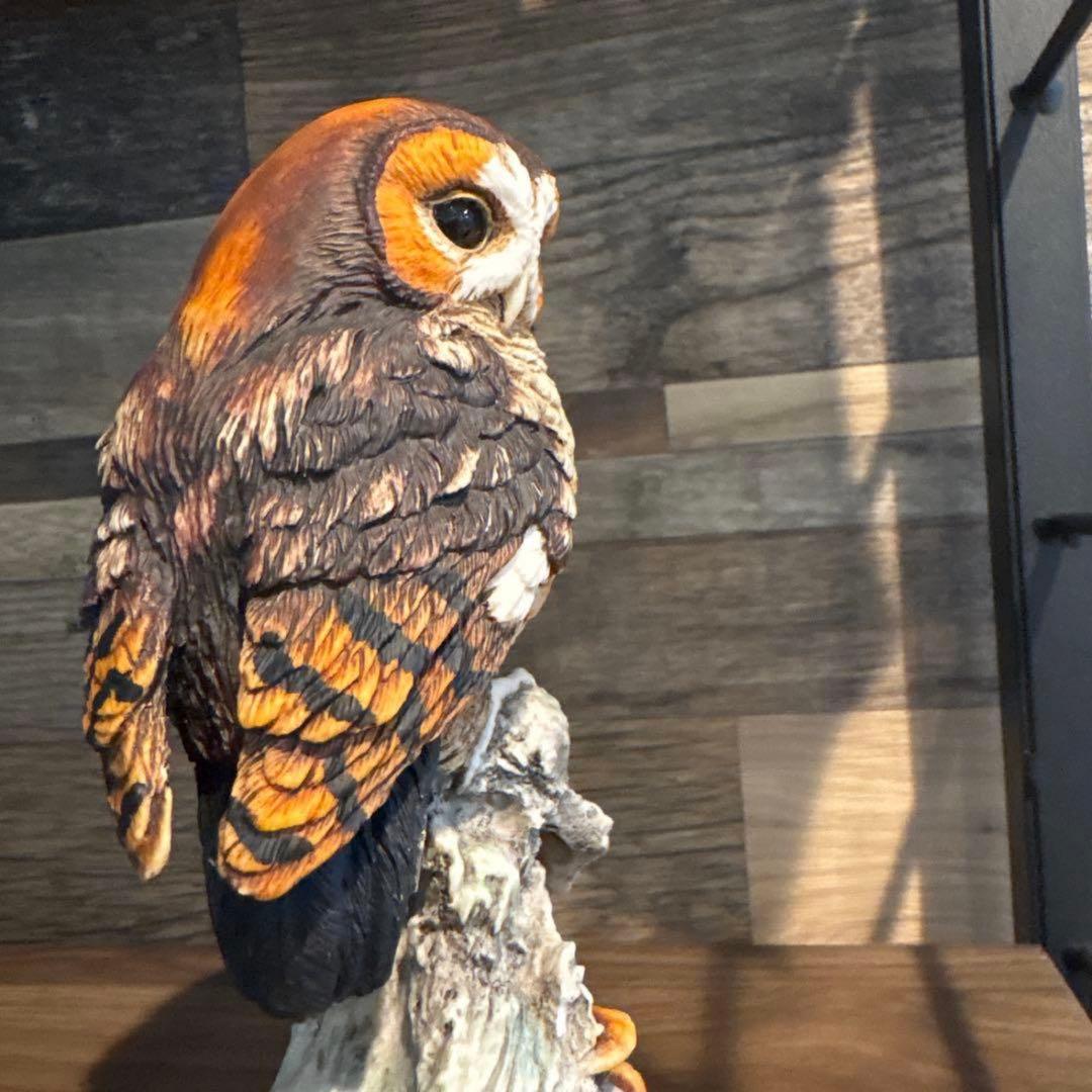 希少　美品　FLORENCE社　ジュゼッペアルマーニ　モリフクロウ　ITALY製