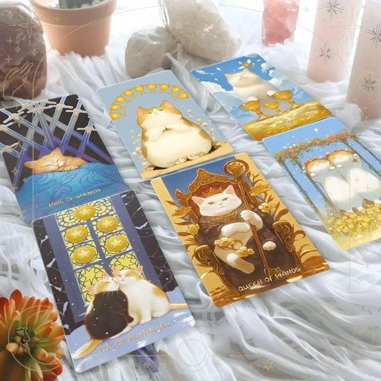 Midnightは猫が好きཐི♡⃘ཋྀ★タロット