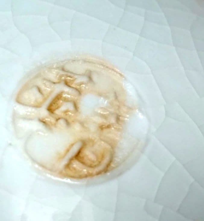 ☆ 須田菁華 九谷焼 入子小鉢